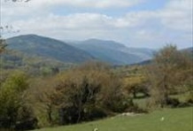 The Grand Wicklow & Coastal Tour